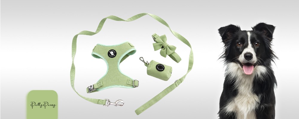 Soft Fabric Pet Collor ODM/OEM Pet Harness