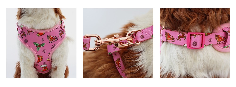 Adjustable Dog Leash Collar Large Dog Leash Collar