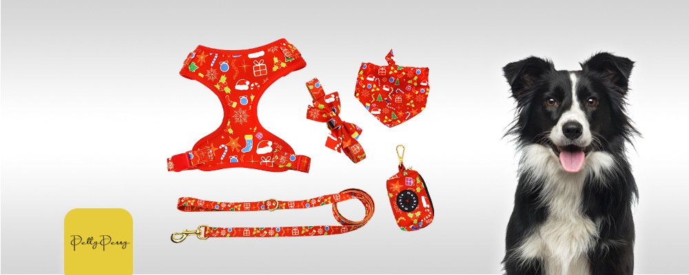 Stylish Dog Harness Set Custom Design Pet Harness