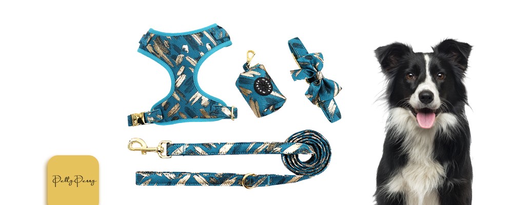 Fashion Dog Harness Set Sublimation Pet Harness