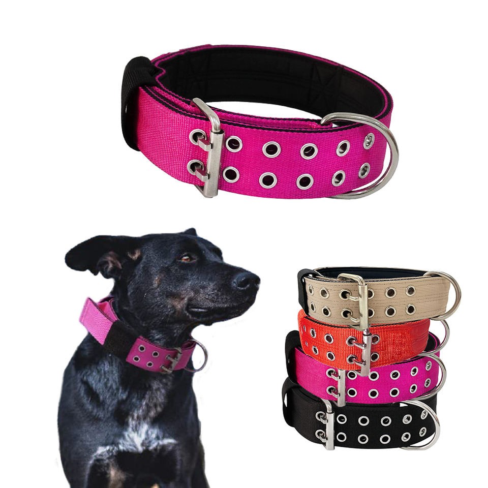 Nylon dog collar dog running collar
