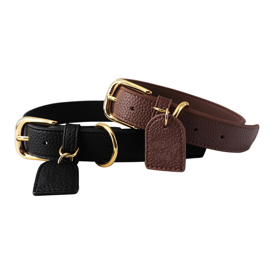 sustainable dog collar jogging dog lead and collar