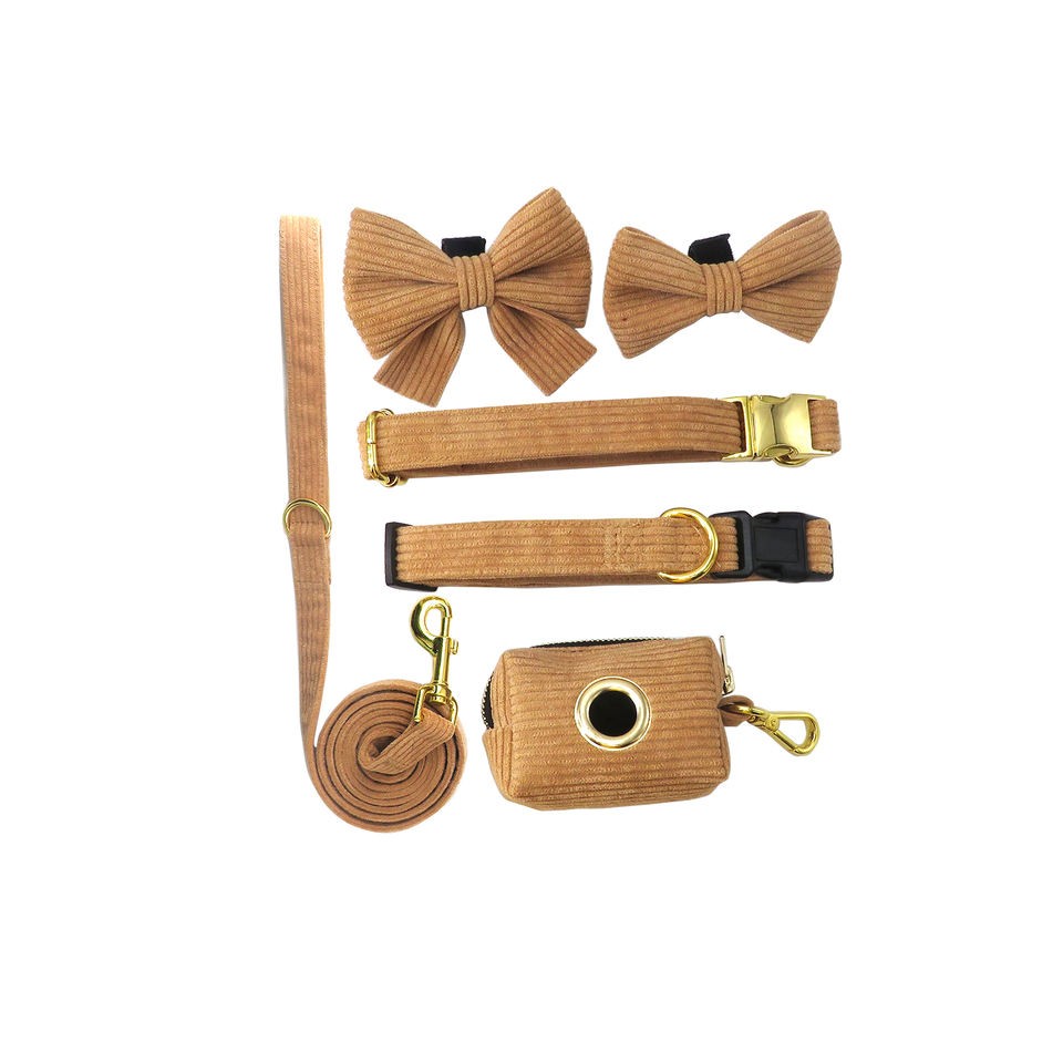 Slippy pet harness set