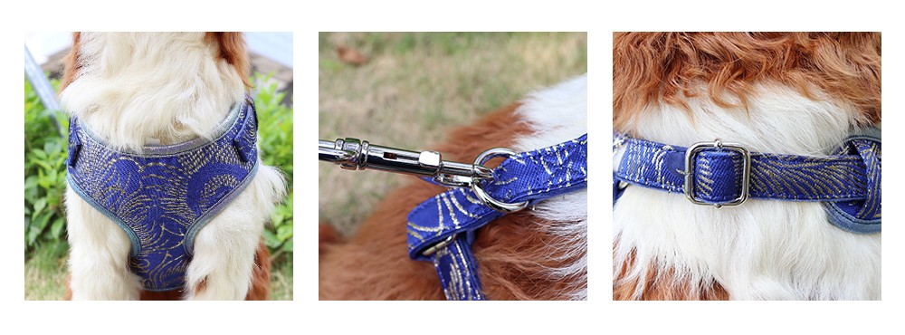 easy walk dog harness durable dog leash and collar