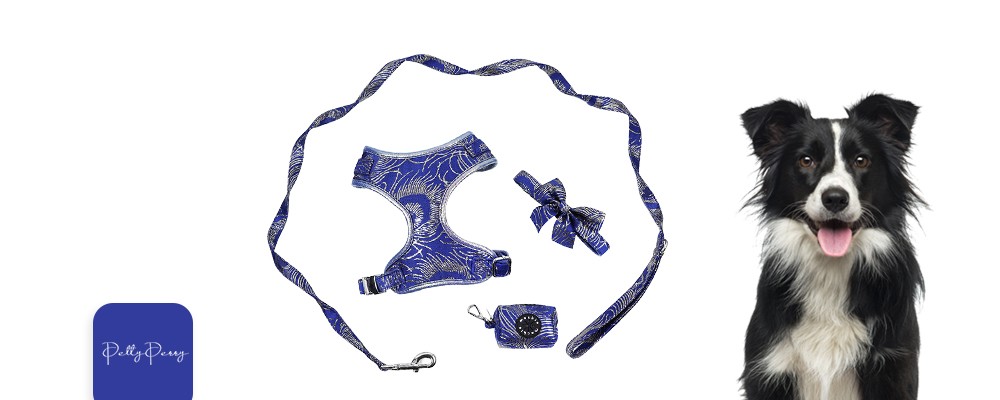 glitter dog harness set vibrant life dog harness set