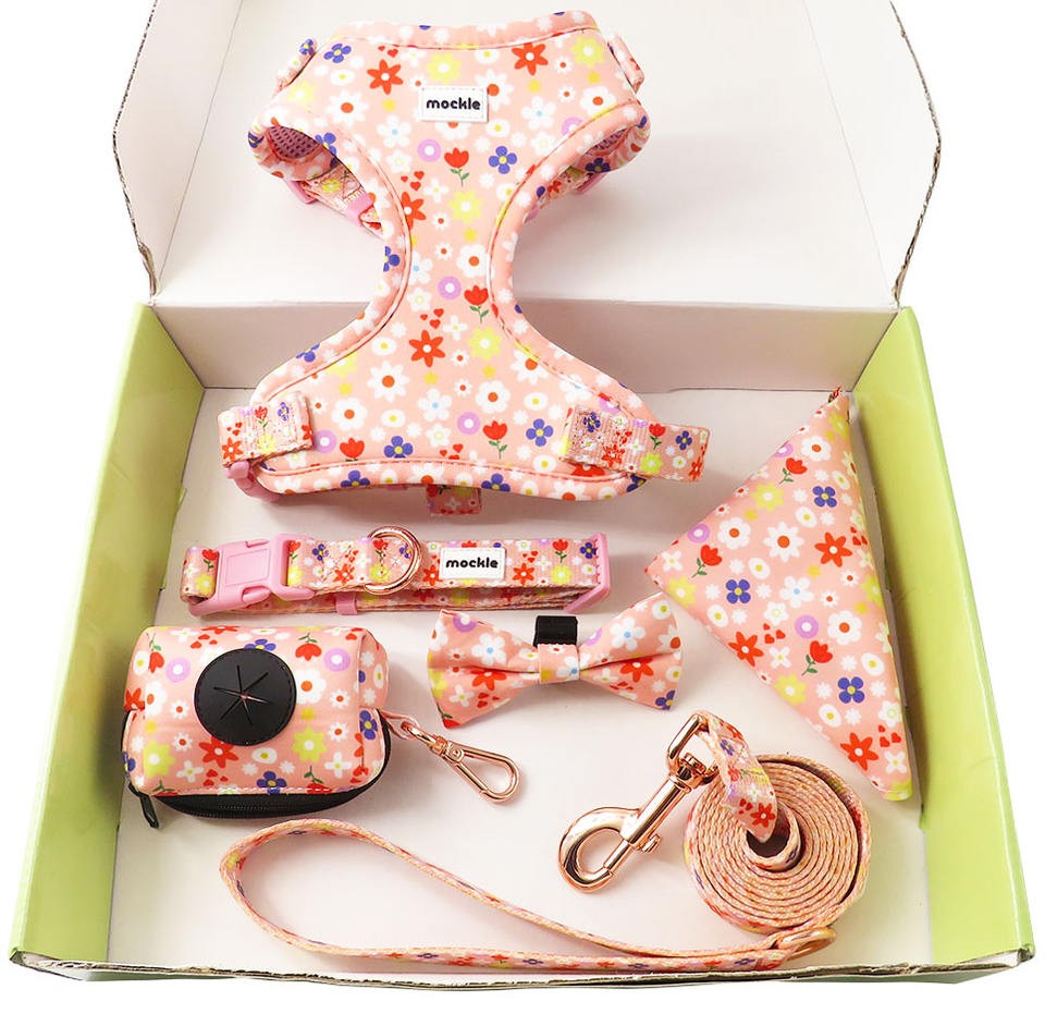 Green box and pink dog harness Exquisite packaging box