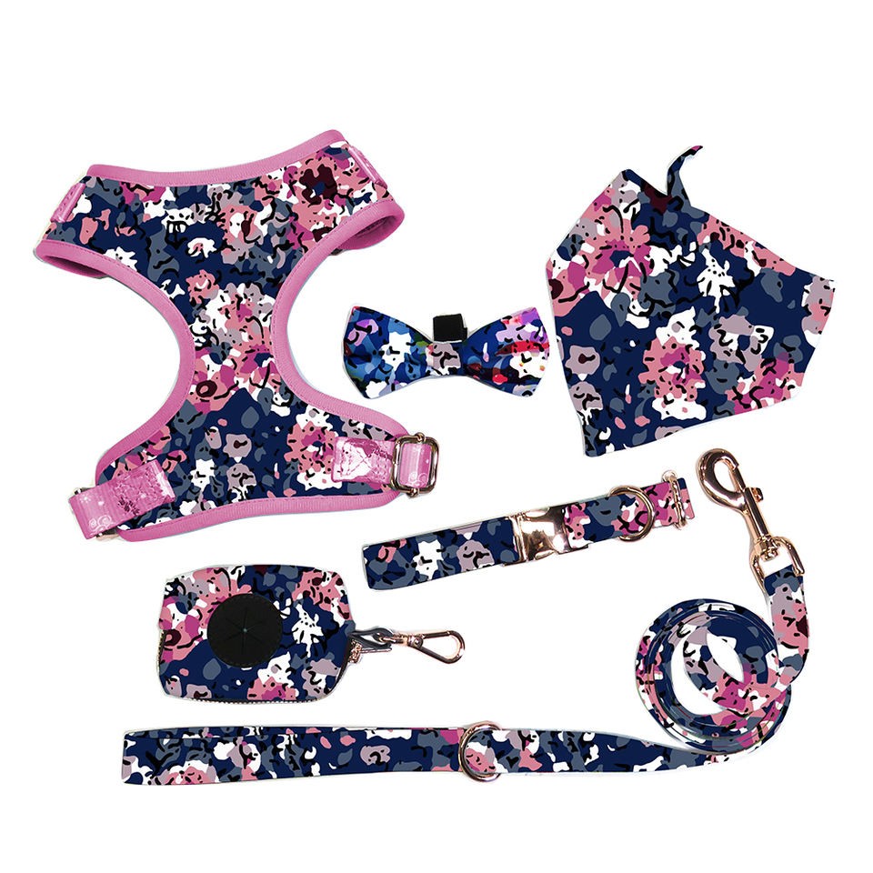 New design harness set fashion dog harness set