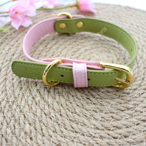 Burliness outdoor pet products Safety pet leash